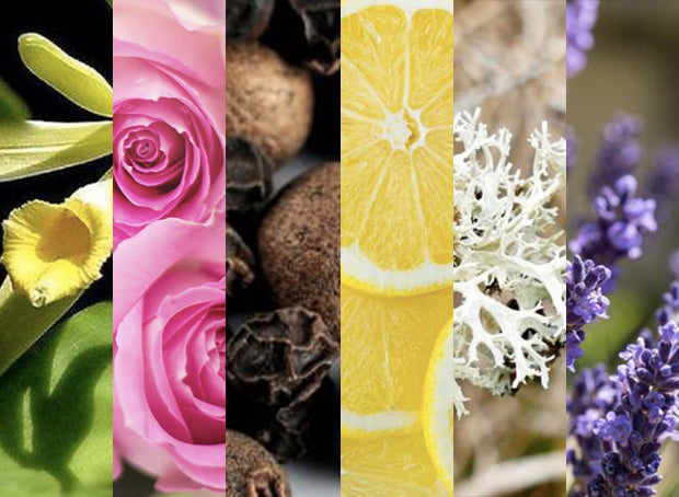 Comment choisir son parfum selon sa famille olfactive ?