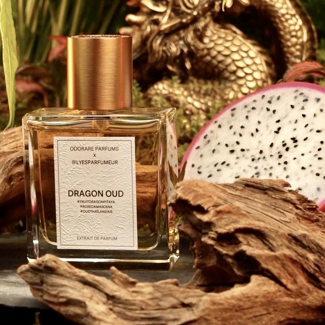 DRAGON OUD