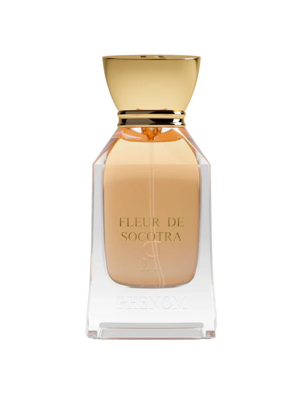 FLEUR DE SOCOTRA