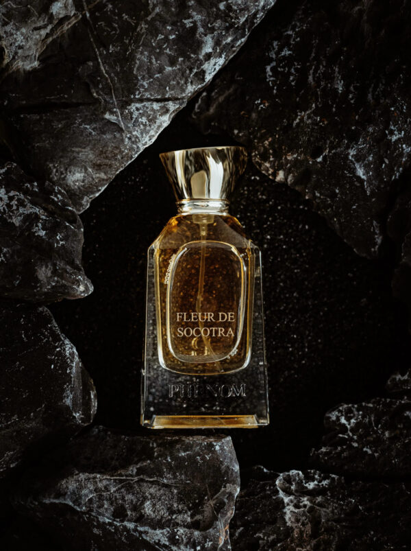 FLEUR DE SOCOTRA – Image 2